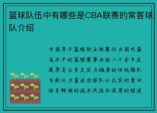 篮球队伍中有哪些是CBA联赛的常客球队介绍