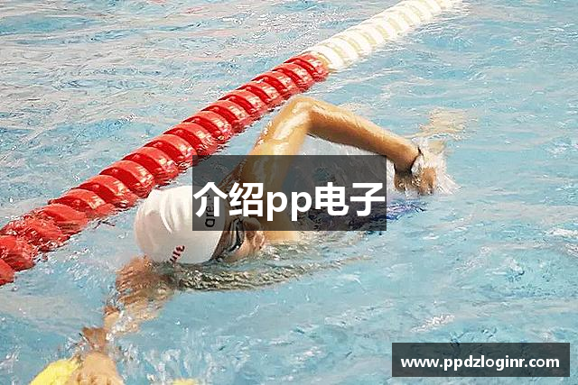 介绍pp电子